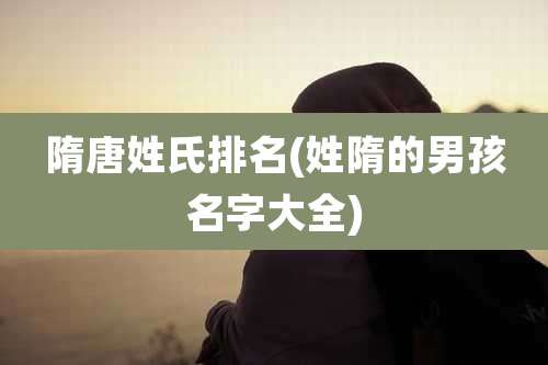 隋唐姓氏排名(姓隋的男孩名字大全)