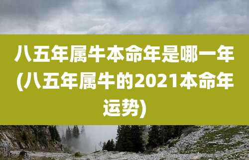 八五年属牛本命年是哪一年(八五年属牛的2021本命年运势)