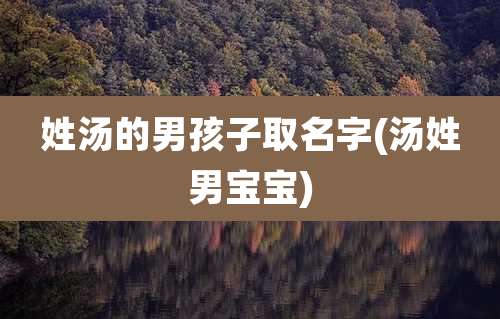 姓汤的男孩子取名字(汤姓男宝宝)