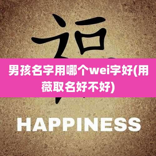 男孩名字用哪个wei字好(用薇取名好不好)
