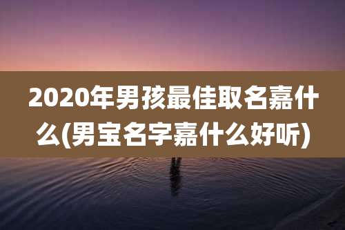 2020年男孩最佳取名嘉什么(男宝名字嘉什么好听)