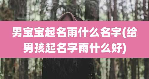 男宝宝起名雨什么名字(给男孩起名字雨什么好)
