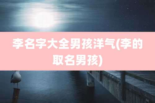 李名字大全男孩洋气(李的取名男孩)