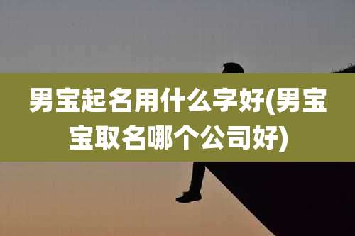 男宝起名用什么字好(男宝宝取名哪个公司好)