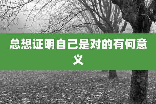 总想证明自己是对的有何意义