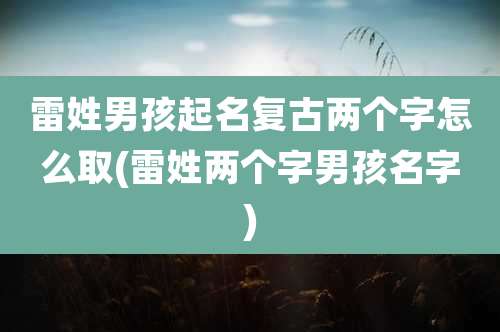雷姓男孩起名复古两个字怎么取(雷姓两个字男孩名字)