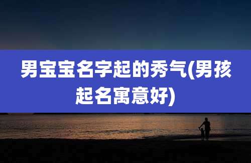 男宝宝名字起的秀气(男孩起名寓意好)