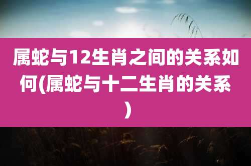 属蛇与12生肖之间的关系如何(属蛇与十二生肖的关系）
