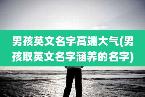 男孩英文名字高端大气(男孩取英文名字涵养的名字)