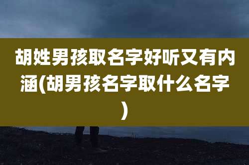 胡姓男孩取名字好听又有内涵(胡男孩名字取什么名字)