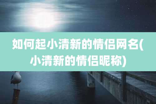 如何起小清新的情侣网名(小清新的情侣昵称)