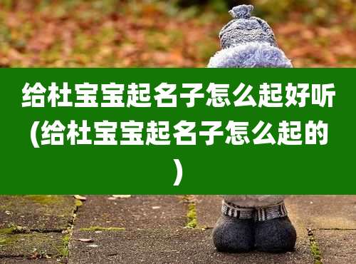 给杜宝宝起名子怎么起好听(给杜宝宝起名子怎么起的)