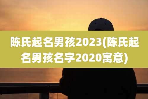 陈氏起名男孩2023(陈氏起名男孩名字2020寓意)