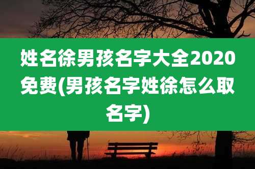 姓名徐男孩名字大全2020免费(男孩名字姓徐怎么取名字)