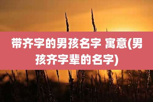 带齐字的男孩名字 寓意(男孩齐字辈的名字)