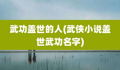 武功盖世的人(武侠小说盖世武功名字)