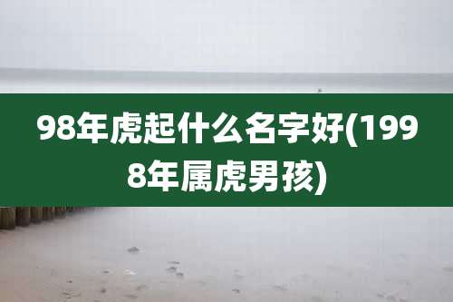 98年虎起什么名字好(1998年属虎男孩)