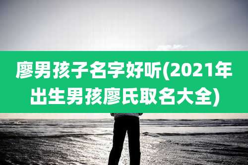 廖男孩子名字好听(2021年出生男孩廖氏取名大全)