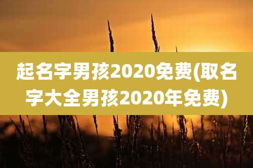 起名字男孩2020免费(取名字大全男孩2020年免费)