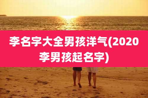 李名字大全男孩洋气(2020李男孩起名字)