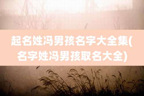 起名姓冯男孩名字大全集(名字姓冯男孩取名大全)