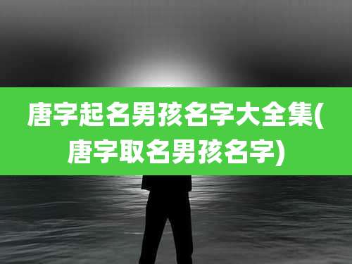 唐字起名男孩名字大全集(唐字取名男孩名字)