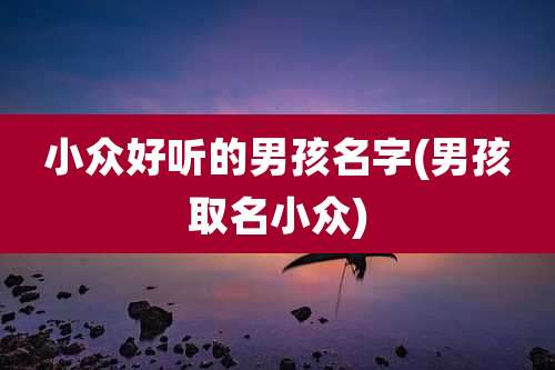 小众好听的男孩名字(男孩取名小众)