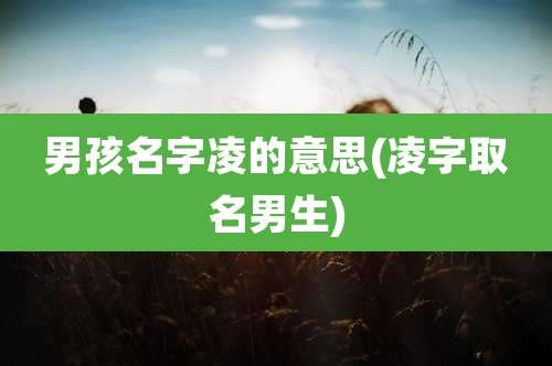 男孩名字凌的意思(凌字取名男生)