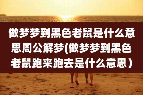 做梦梦到黑色老鼠是什么意思周公解梦(做梦梦到黑色老鼠跑来跑去是什么意思)