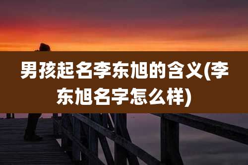 男孩起名李东旭的含义(李东旭名字怎么样)
