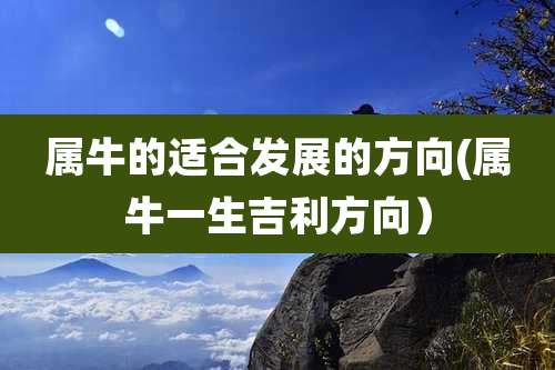 属牛的适合发展的方向(属牛一生吉利方向）