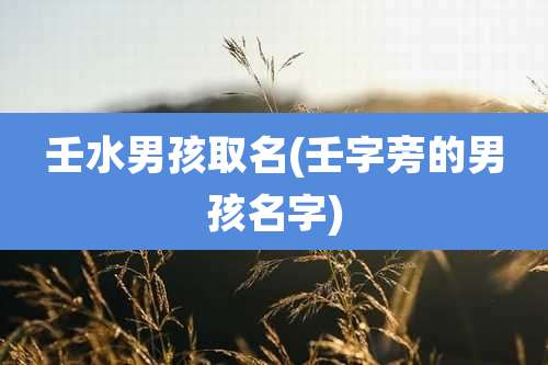 壬水男孩取名(壬字旁的男孩名字)