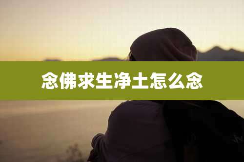 念佛求生净土怎么念