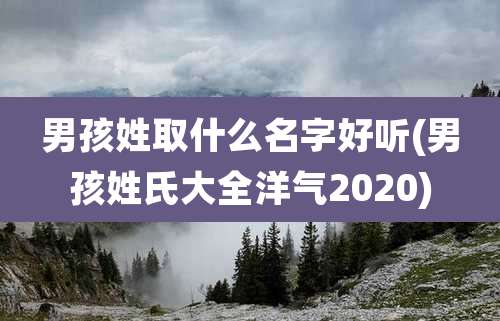 男孩姓取什么名字好听(男孩姓氏大全洋气2020)