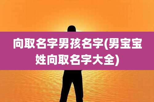 向取名字男孩名字(男宝宝姓向取名字大全)