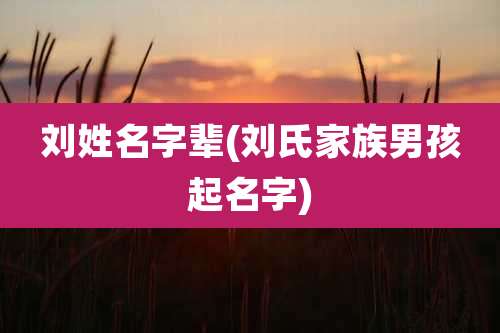 刘姓名字辈(刘氏家族男孩起名字)