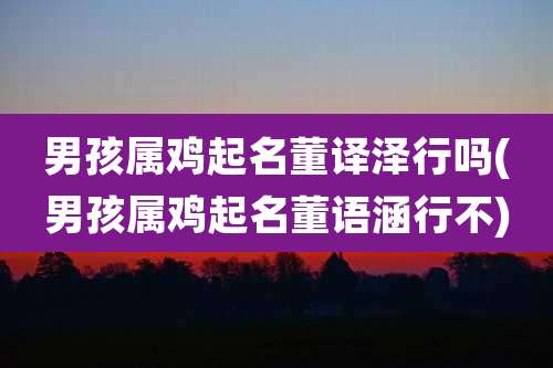 男孩属鸡起名董译泽行吗(男孩属鸡起名董语涵行不)