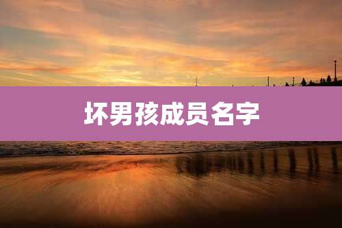 坏男孩成员名字