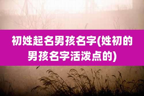 初姓起名男孩名字(姓初的男孩名字活泼点的)