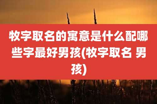 牧字取名的寓意是什么配哪些字最好男孩(牧字取名 男孩)