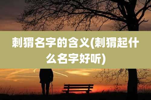 刺猬名字的含义(刺猬起什么名字好听)