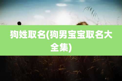 狗姓取名(狗男宝宝取名大全集)