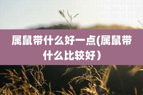 属鼠带什么好一点(属鼠带什么比较好)