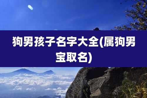 狗男孩子名字大全(属狗男宝取名)