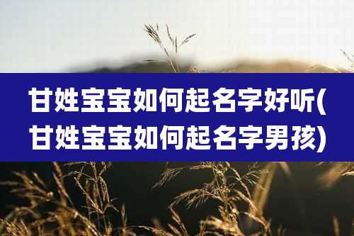 甘姓宝宝如何起名字好听(甘姓宝宝如何起名字男孩)