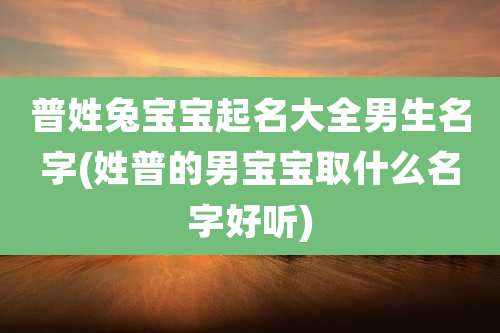 普姓兔宝宝起名大全男生名字(姓普的男宝宝取什么名字好听)