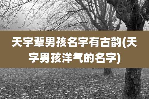天字辈男孩名字有古韵(天字男孩洋气的名字)