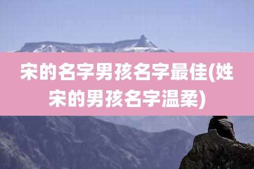 宋的名字男孩名字最佳(姓宋的男孩名字温柔)