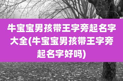 牛宝宝男孩带王字旁起名字大全(牛宝宝男孩带王字旁起名字好吗)