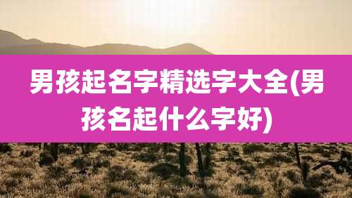 男孩起名字精选字大全(男孩名起什么字好)